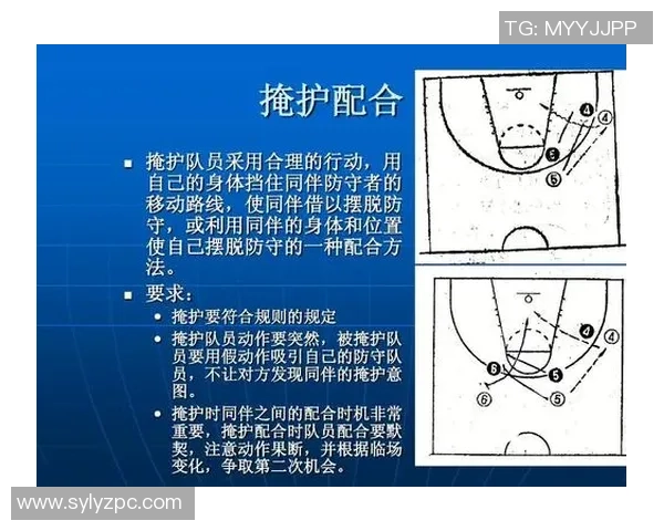 武汉篮球队战术解析与未来发展方向的深度探讨