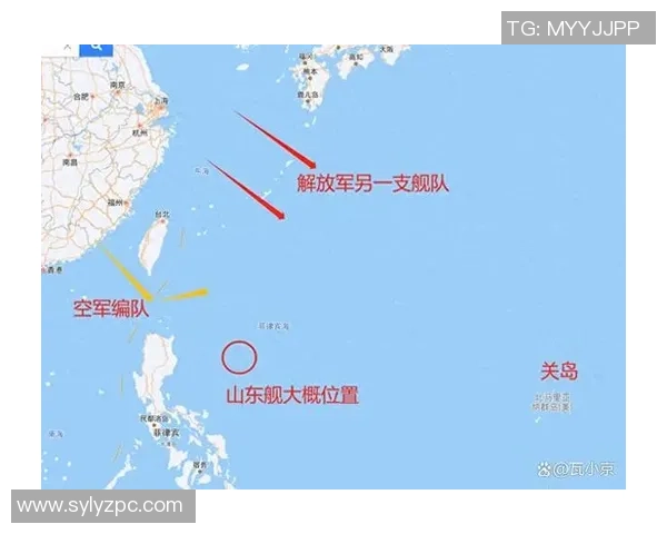 深入分析西安排球队的进攻策略与战术特点